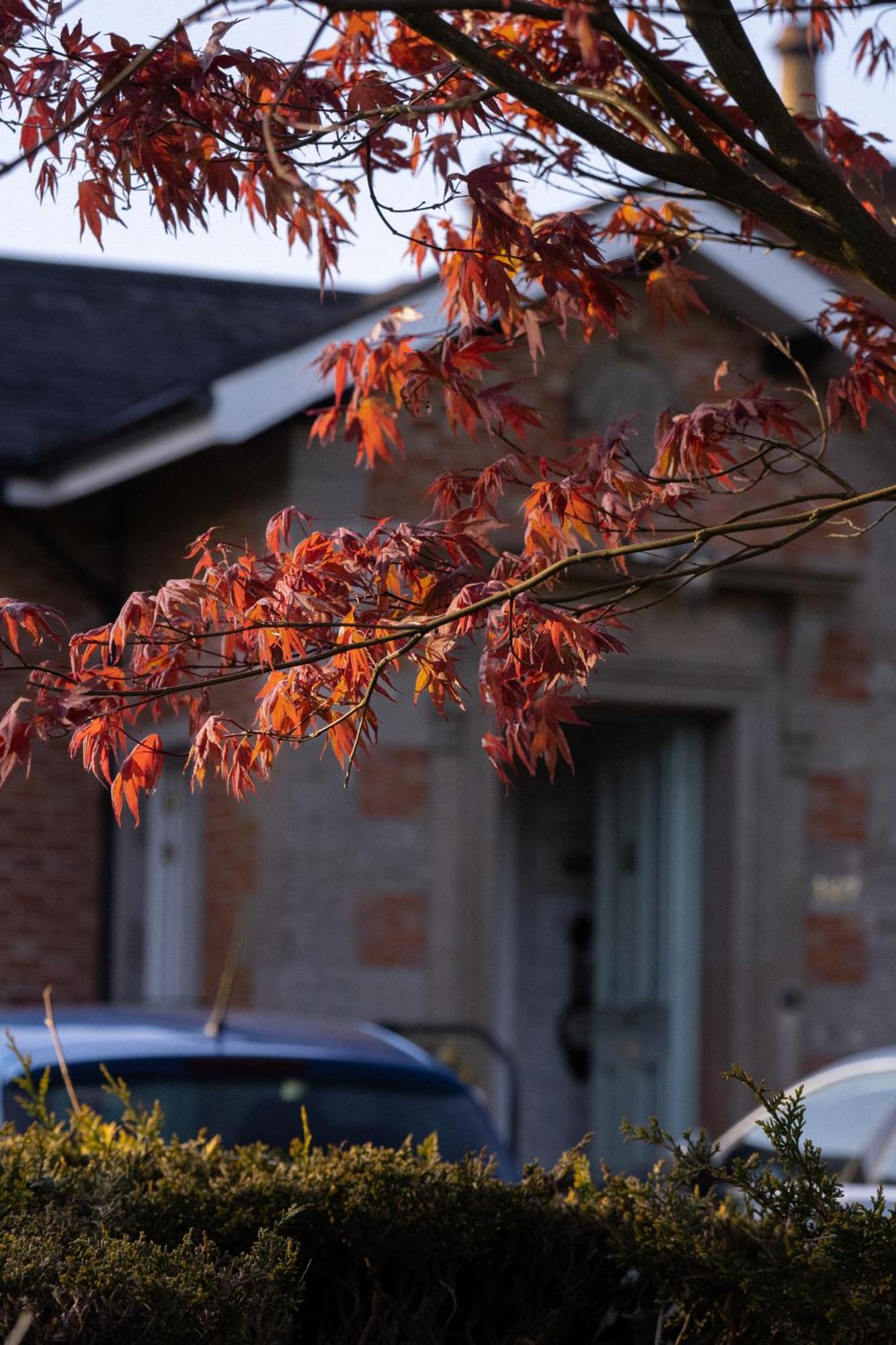 Oranmore Ballymena Exterior photo